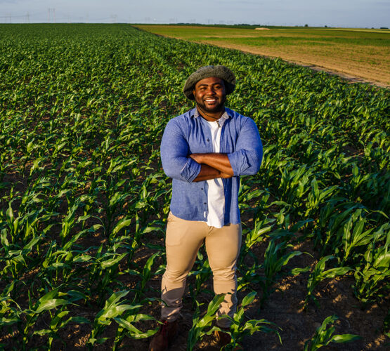 Happy Farmer is standing in his growing corn field.
